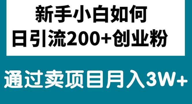 新手小白日引流200+创业粉,通过卖项目月入3W+-石龙大哥笔记