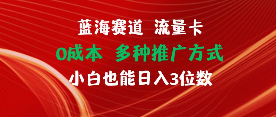 蓝海赛道 流量卡 0成本 小白也能日入三位数-石龙大哥笔记