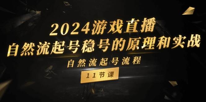 2024游戏直播-自然流起号稳号的原理和实战，自然流起号流程（11节）-石龙大哥笔记