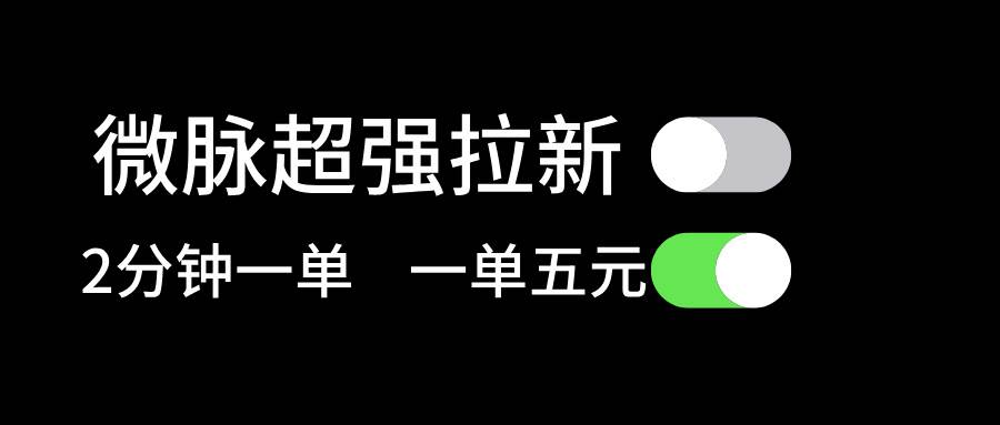 微脉超强拉新， 两分钟1单， 一单利润5块，适合小白-石龙大哥笔记