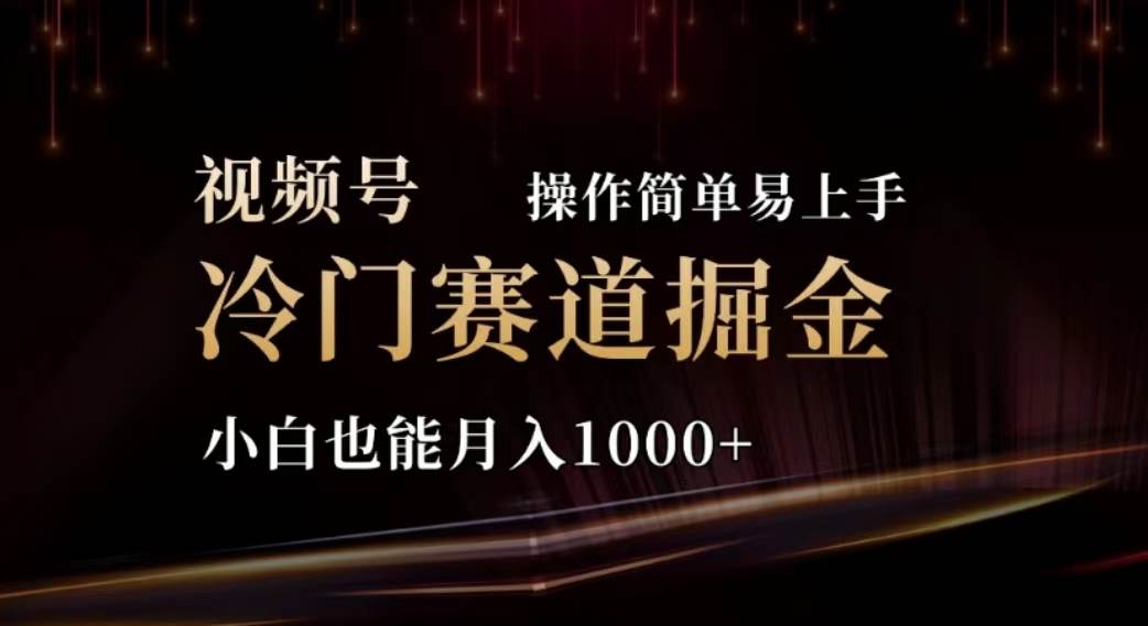 2024视频号冷门赛道掘金，操作简单轻松上手，小白也能月入1000+-石龙大哥笔记