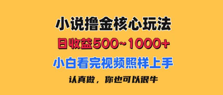 小说撸金核心玩法，日收益500-1000+，小白看完照样上手，0成本有手就行-石龙大哥笔记