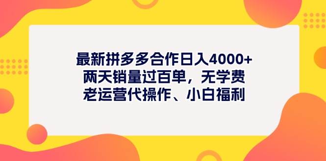 最新拼多多项目日入4000+两天销量过百单，无学费、老运营代操作、小白福利-石龙大哥笔记