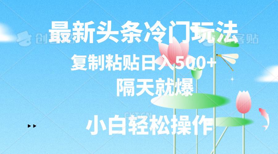 最新头条冷门玩法，隔天就爆，复制粘贴日入500+-石龙大哥笔记