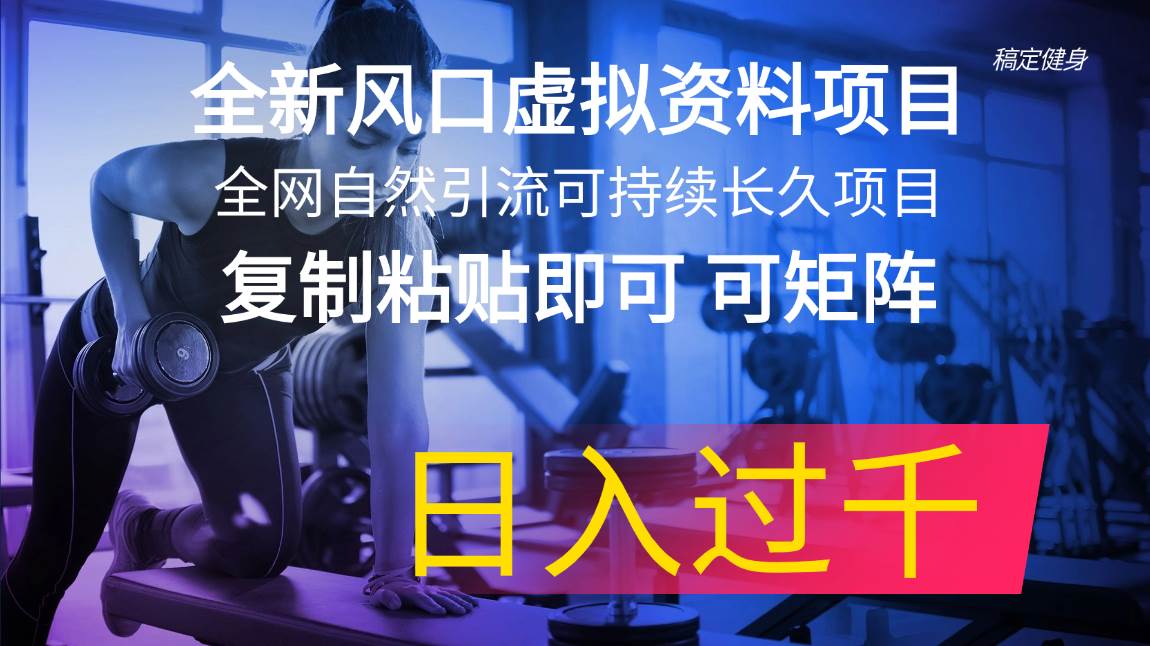 全新风口虚拟资料项目 全网自然引流可持续长久项目 复制粘贴即可可矩阵…-石龙大哥笔记