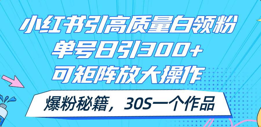 图片[1]-小红书引高质量白领粉，单号日引300+，可放大操作，爆粉秘籍！30s一个作品-石龙大哥笔记