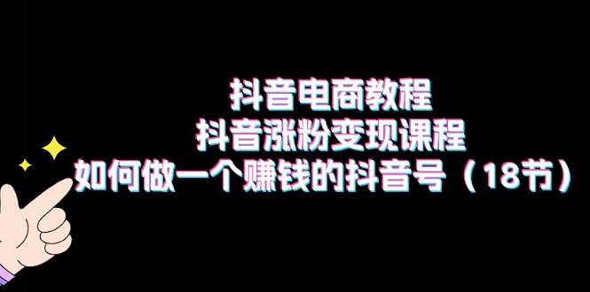 抖音电商教程：抖音涨粉变现课程：如何做一个赚钱的抖音号（18节）-石龙大哥笔记