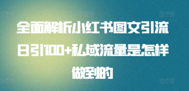 日引流100私域流量小红书图文是怎样做到的全面解析-石龙大哥笔记