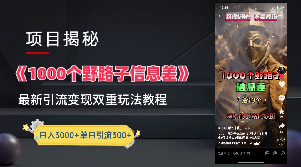 一千个野路子信息差24年最新玩法教程附带变现方法和引流的玩法具体拆解-石龙大哥笔记