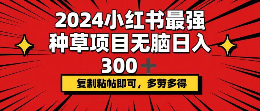 2024小红书最强种草项目，无脑日入300+，复制粘帖即可，多劳多得-石龙大哥笔记