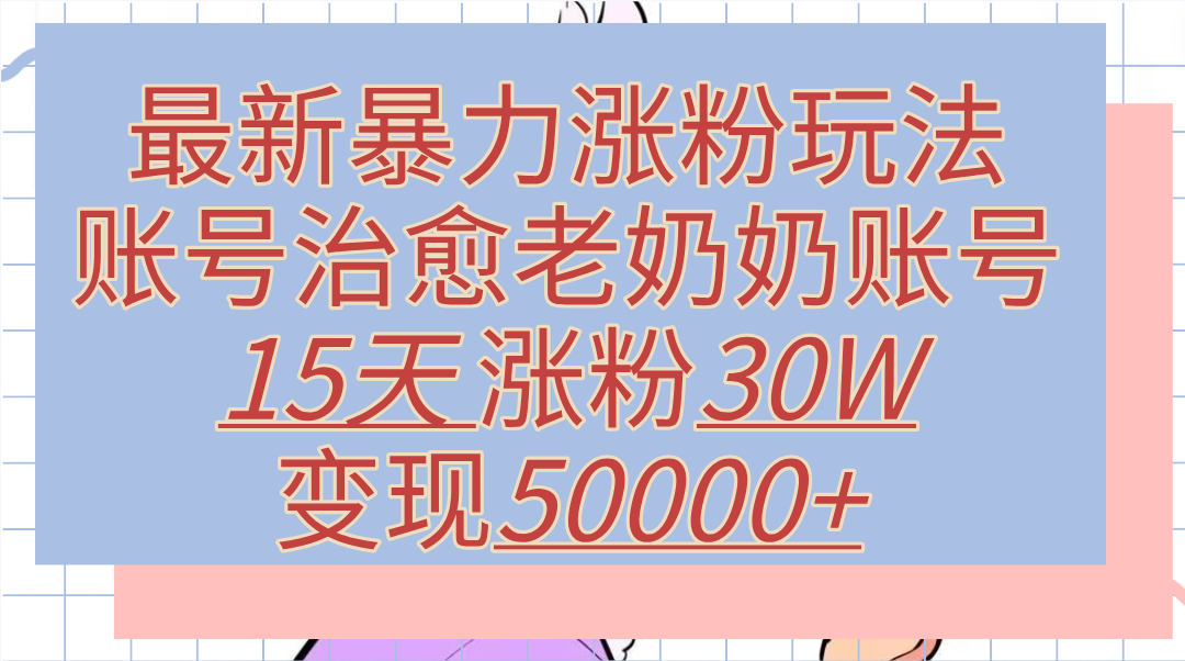 最新暴力涨粉玩法，治愈老奶奶账号，15天涨粉30W，变现50000+【揭秘】-石龙大哥笔记