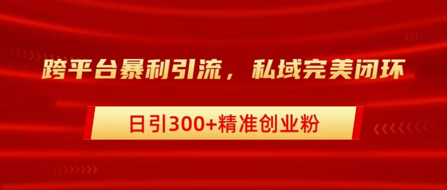 跨平台暴力引流，私域完美闭环，日引300+精准创业粉-石龙大哥笔记