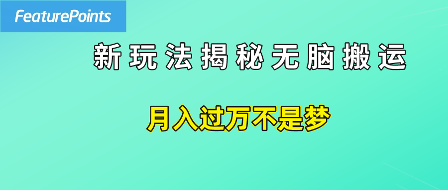 简单操作，每天50美元收入，搬运就是赚钱的秘诀！-石龙大哥笔记