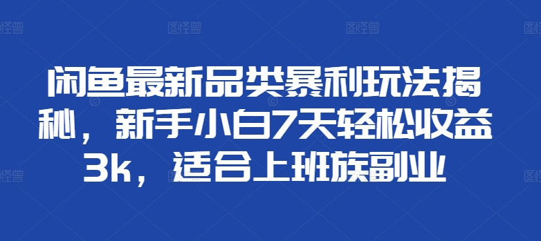 闲鱼最新品类暴利玩法揭秘，新手小白7天轻松赚3000+，适合上班族副业-石龙大哥笔记