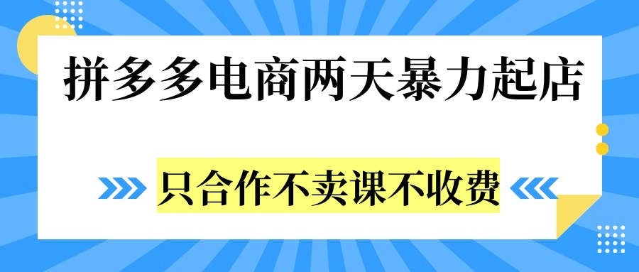 拼多多两天暴力起店，只合作不卖课不收费-石龙大哥笔记