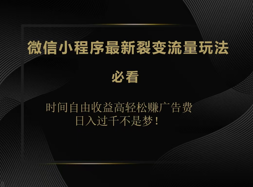 微信小程序最新裂变流量玩法，时间自由收益高轻松赚广告费，日入200-500+-石龙大哥笔记