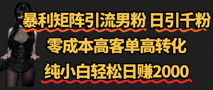 暴利矩阵引流男粉（日引千粉），零成本高客单高转化，纯小白轻松日赚2000+-石龙大哥笔记