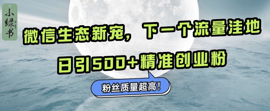 微信生态新宠小绿书：下一个流量洼地，粉丝质量超高，日引500+精准创业粉，-石龙大哥笔记