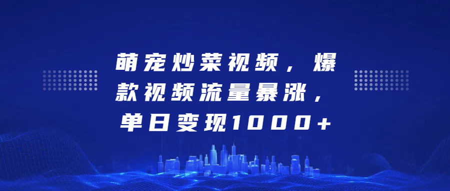 萌宠炒菜视频，爆款视频流量暴涨，单日变现1000+-石龙大哥笔记