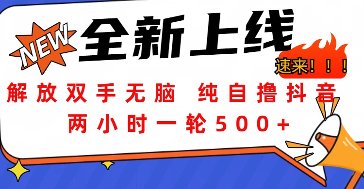 解放双手无脑 纯自撸抖音 两小时一轮500+-石龙大哥笔记